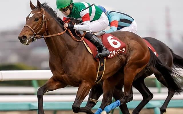 豪の名手と強力タッグ いざ皐月賞2着馬がソールオリエンスへリベンジ