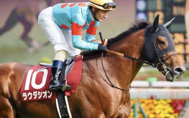 ラウダシオンが競走馬登録抹消