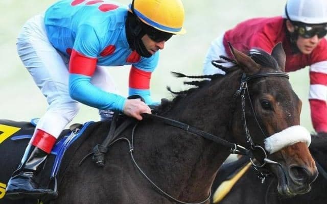 伸びシロたっぷりの凱旋門賞登録馬 目黒記念できょうだい3頭目の重賞勝ちへ