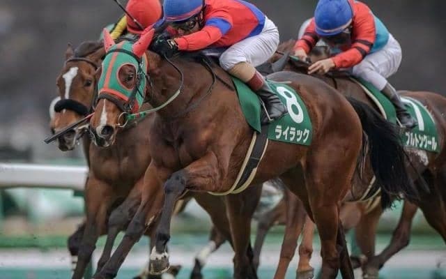 【目黒記念】5年連続馬券圏内のステイゴールド系は特注 ライラックの出番だ