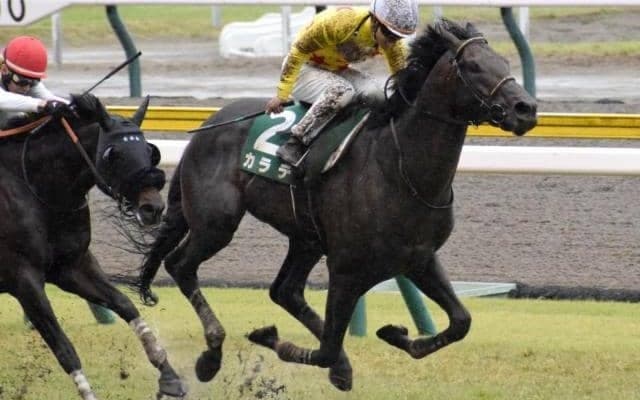 新潟大賞典Vカラテ、ダービー卿CT覇者インダストリアなど 鳴尾記念想定17頭