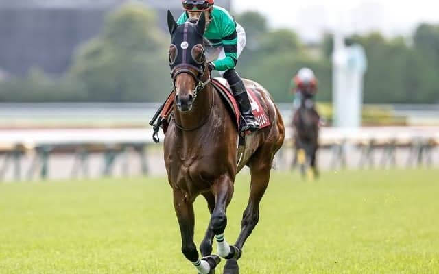 デビュー戦の衝撃は世代屈指 ハーツコンチェルトが松山騎手と掴んだ日本ダービーで鬱憤晴らす