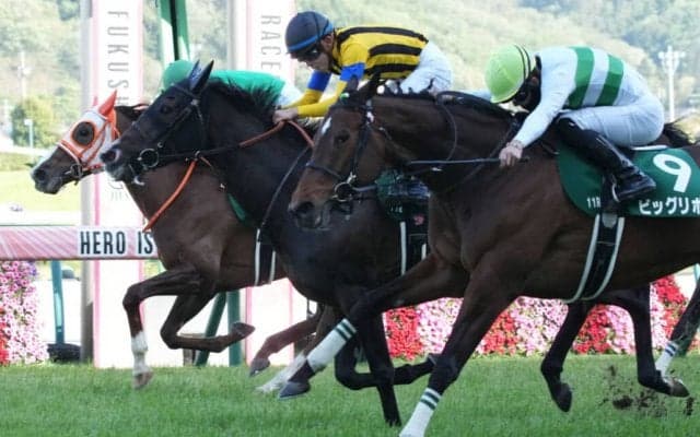 ステラリアが競走馬登録抹消