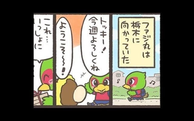 【Ｊりーぐ ぷれびゅーしょー】　第29回