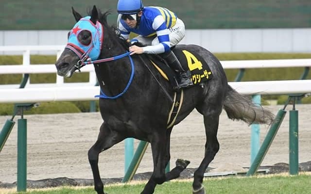 【今日の注目ポイント】京都で3歳スプリント重賞の葵S