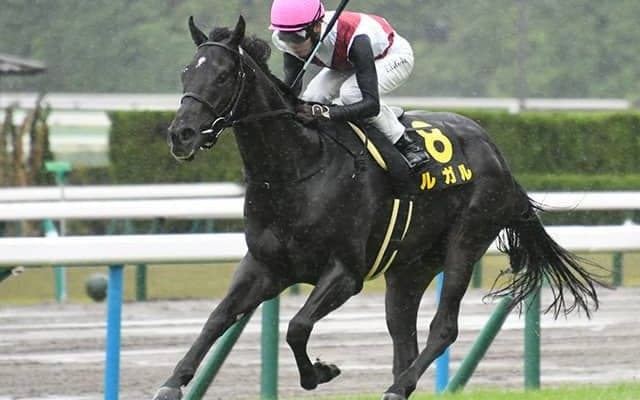 【葵S予想】3年ぶりの京都開催 3歳スプリント王に輝くのは