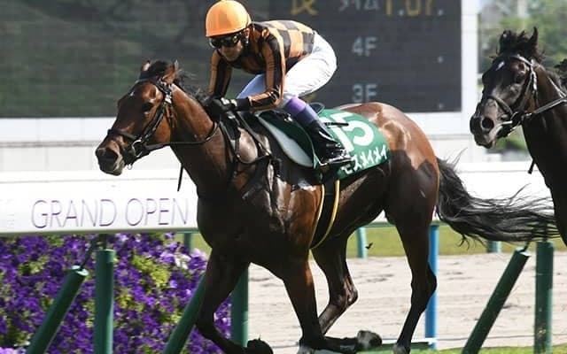【葵S結果】モズメイメイが逃げ切って重賞2勝目
