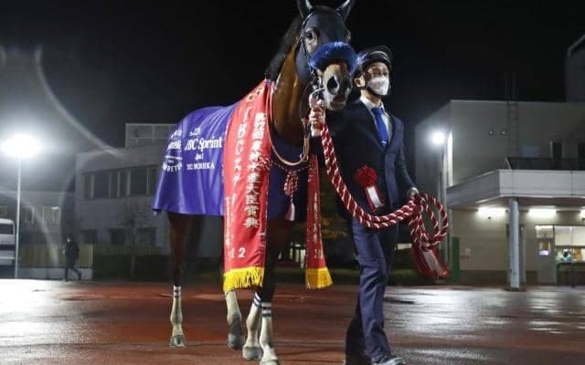 【門別・北海道スプリントC枠順確定】ダンシングプリンスは4枠4番、ケイアイドリーは1枠1番