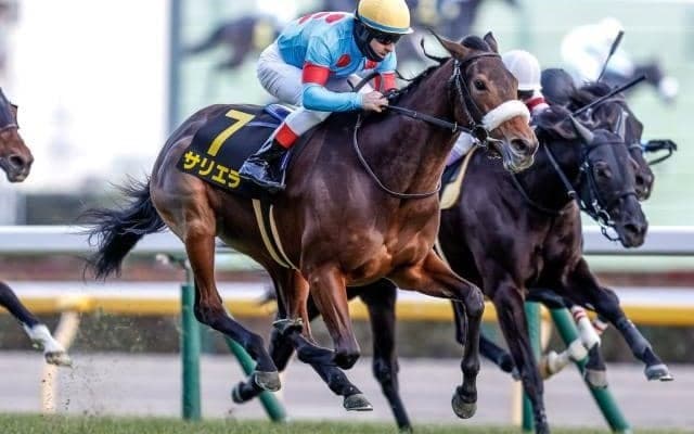 【目黒記念前日オッズ】サリエラが3.0倍で1番人気