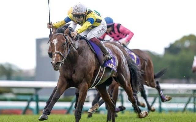 【日本ダービー前日オッズ】無敗の二冠に挑むソールオリエンスが1.8倍で1番人気