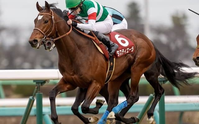 【AI予想・日本ダービー】二冠ならず!? 人工知能がソールオリエンス以上の評価を与えた「◎」とは