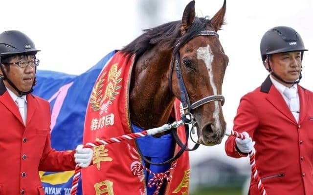 【今日の注目ポイント】競馬の祭典・日本ダービー、伝統のハンデGII・目黒記念