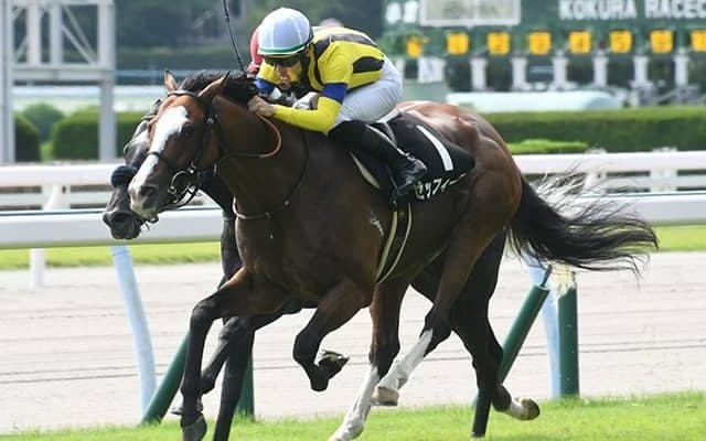 【目黒記念予想】1番人気とトップハンデ馬苦戦の名物重賞