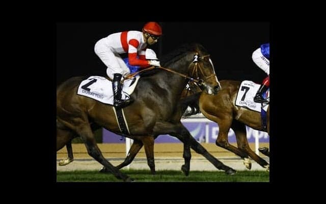 ２歳戦開幕週で「注目の１頭」古馬相手に圧巻の動きを披露したボンドガールに関係者が熱視線