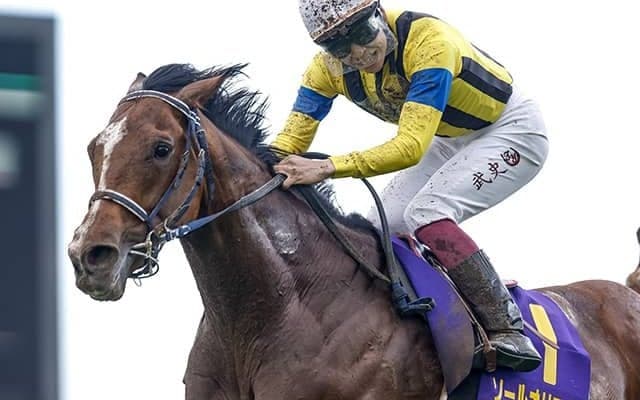 【日本ダービー予想】上位人気好成績も馬券の工夫は必要？ 好走枠・ローテ・血統の必須ポイント解明