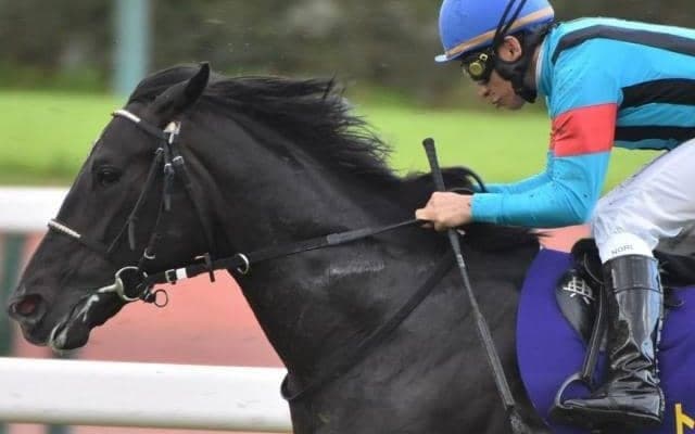 【日本ダービー予想】穴は内枠の先行馬 名手の巧みな手綱捌きに期待