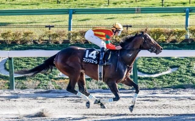 【浦和・さきたま杯枠順確定】コンシリエーレは5枠5番、シャマルは1枠1番