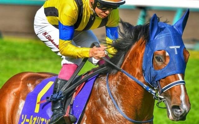 【日本ダービー・馬体重】ソールオリエンスは460kg(-2)、スキルヴィングは520kg(-4)