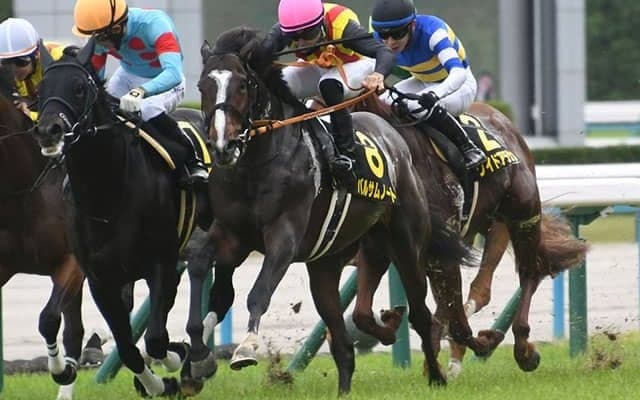 【白百合S結果】バルサムノートが直線一気でV！