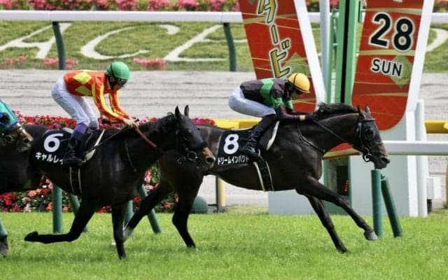 【青嵐賞】ドリームインパクトが早め先頭から押し切る…勝ちタイムは2分25秒6