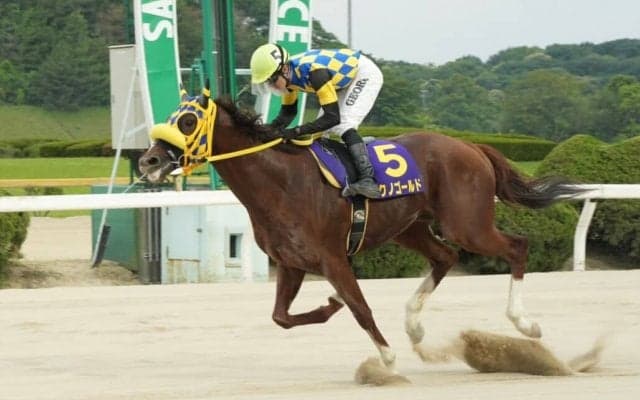 【佐賀・九州ダービー栄城賞】テクノゴールドが重賞初制覇…和田譲「馬のリズムを大切にした」