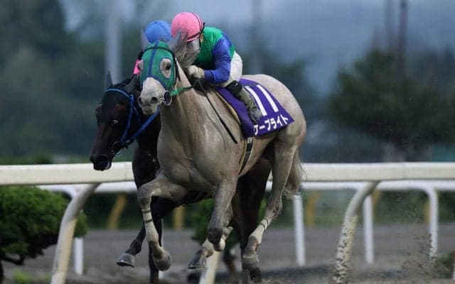 【水沢・イーハトーブマイル】ケープライトが重賞2勝目…山本聡「今日の馬場は内枠が有利」