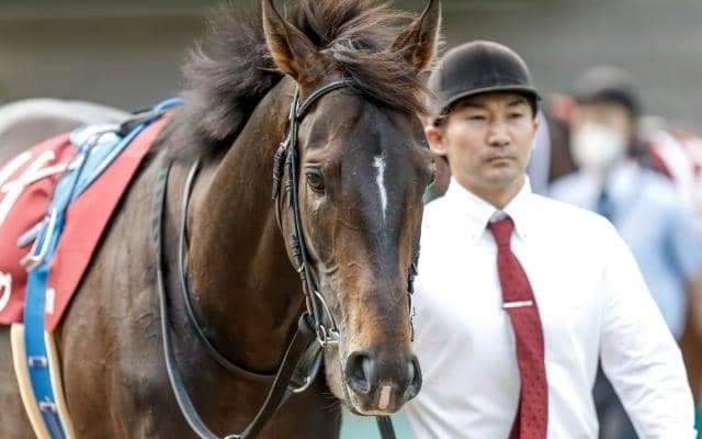 ドゥラエレーデ落馬、スキルヴィングが入線後死亡など 28日の出来事一覧/東京・京都