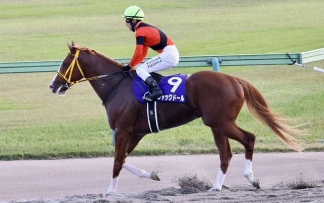 【安田記念登録馬】ジャックドールなど21頭