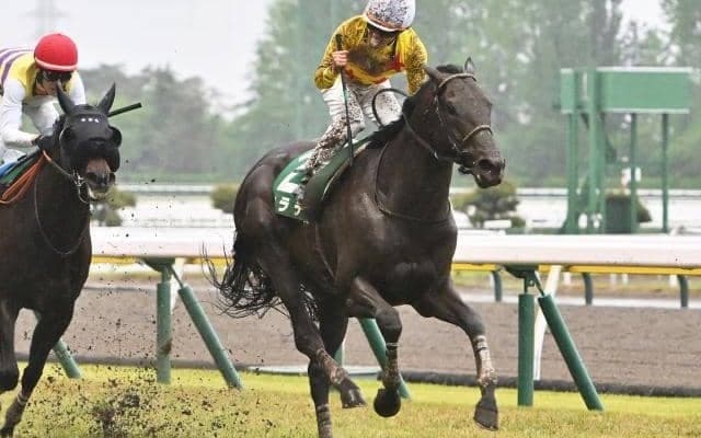 【鳴尾記念見どころ】カラテの重賞連勝なるか