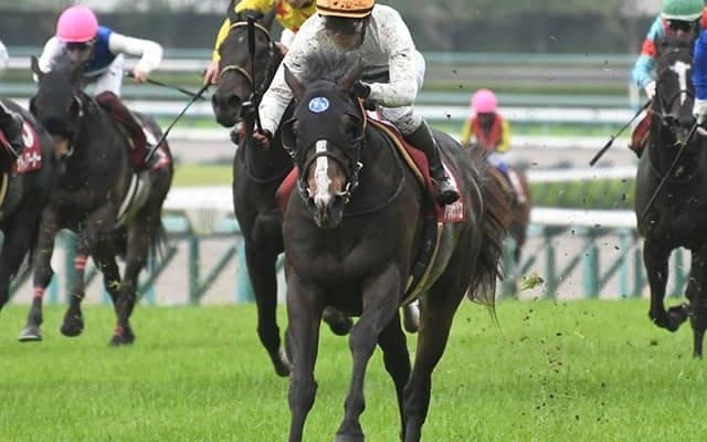 【AI予想・安田記念】7番人気以下の穴馬台頭にも注意！ 混戦模様の一戦で人工知能が推奨する本命候補「3頭」