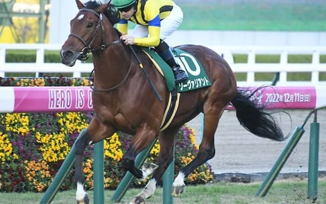 【鳴尾記念想定騎手】ソーヴァリアントはC.ルメール騎手、フェーングロッテンは松若風馬騎手