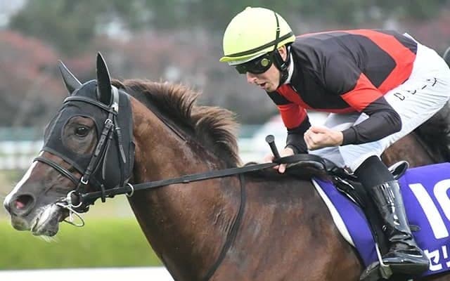 ダービー制したD.レーン騎手と再びGI制覇へ マイル重賞4勝馬が安田記念に参戦