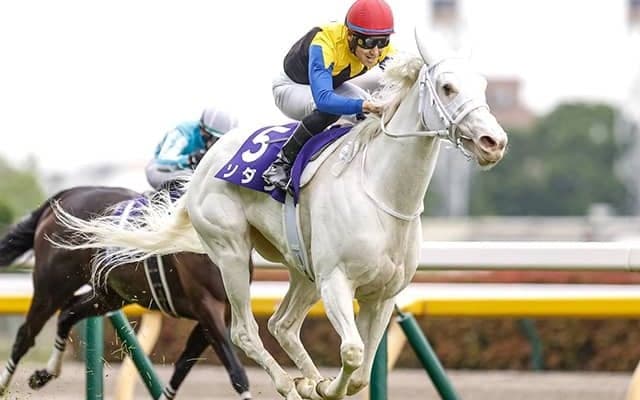 【安田記念想定騎手】ソダシは川田将雅騎手、ジャックドールは武豊騎手