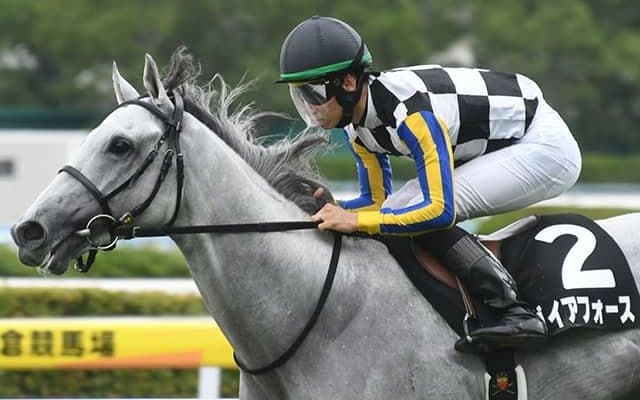 芦毛のキタサン産駒 可能性見せたマイルでGI初制覇なるか