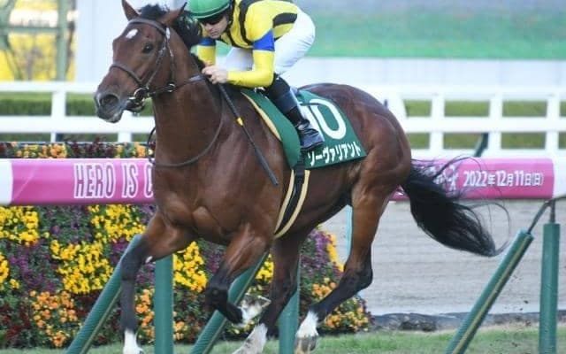 【鳴尾記念展望】宝塚記念の前哨戦、前走GIとGII組が中心