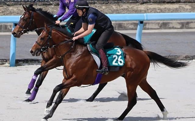 ヒストリックスターの2021(コルレオニス)など、先週のゲート試験/栗東トレセンニュース
