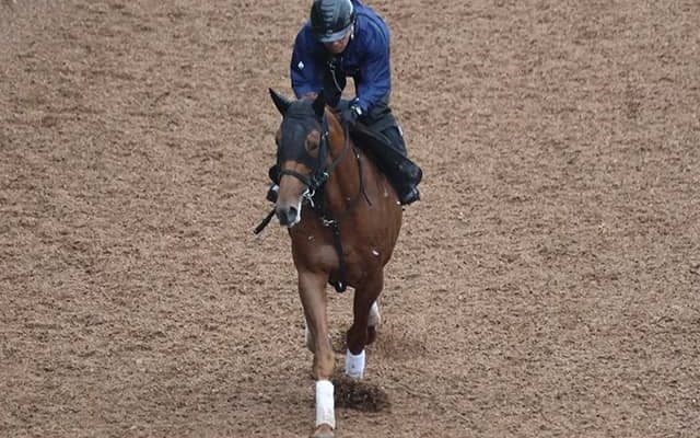 テーオーケインズなど、先週の入厩情報/栗東トレセンニュース