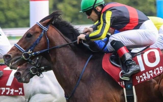 もう銀メダルはイリマセン！ 安田記念3年連続2着のルメール騎手が5年ぶり勝利目指す