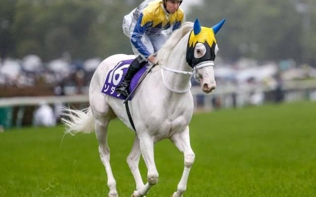 【安田記念予想オッズ】ソダシが予想1番人気