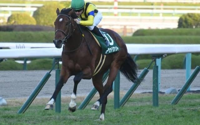 【鳴尾記念予想オッズ】ソーヴァリアントが予想1番人気