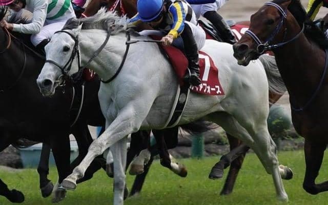GI初制覇が多い安田記念 過去最多タイGI馬10頭出走の今年はいかに!?