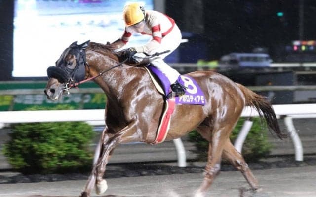 【高知・福永洋一記念】伏兵アポロティアモがレコードV…多田羅「勝たせてもらえて本当に感謝」