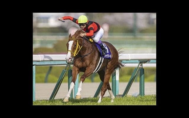 安田記念、ジャックドールはマイルＧＩでも勝ち負けを演じられるか