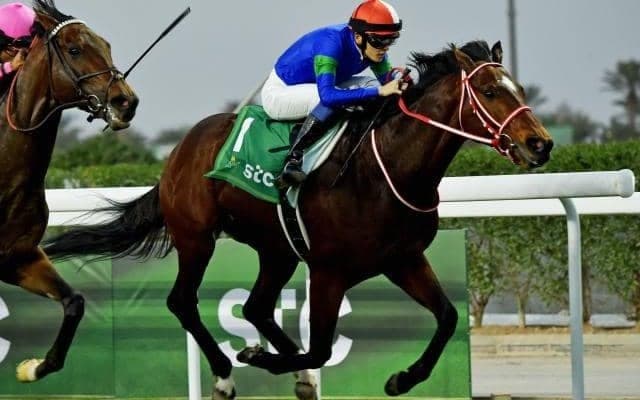 10頭中7頭が重賞ウイナー 上半期のダート短距離王決定戦/さきたま杯