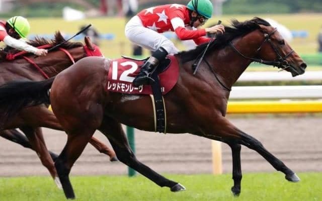 安田記念13連敗中の京王杯SC覇者 レッドモンレーヴが“負の流れ”断ち切る