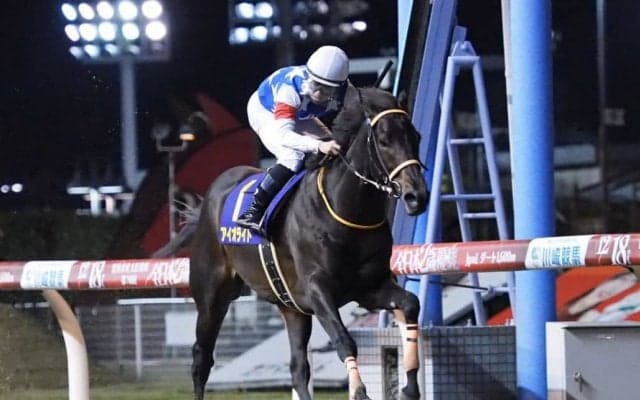 【北海道スプリントC】アイオライトは7枠7番