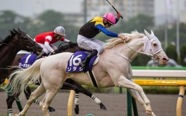 ソダシが史上8頭目の偉業に挑戦 安田記念を勝てばゴルシ・ウオッカらに並ぶ記録に