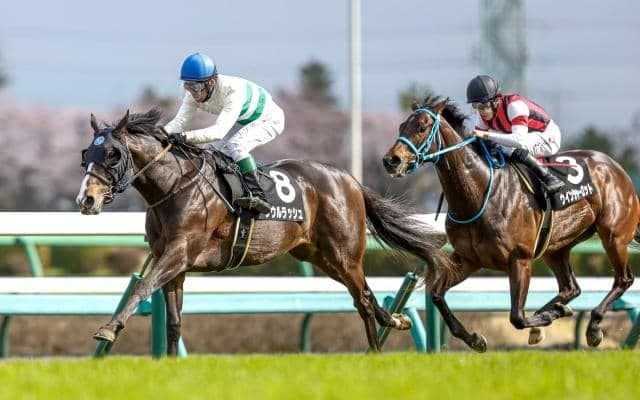 【安田記念予想】豪華メンバーで行われるチャンピオンマイラー決定戦 AIは人気の盲点となりそうな一頭に注目