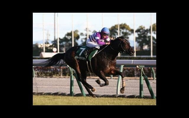 安田記念に強い「ストームキャットの血」を持つ中でベスト条件の馬は？ モーリス産駒もマイルＧⅠ初勝利を狙う