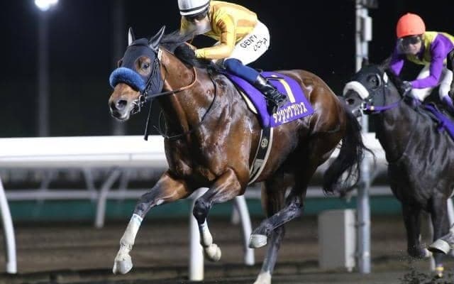 【北海道SC注目馬】JBCスプリント覇者ダンシングプリンスが連覇狙う